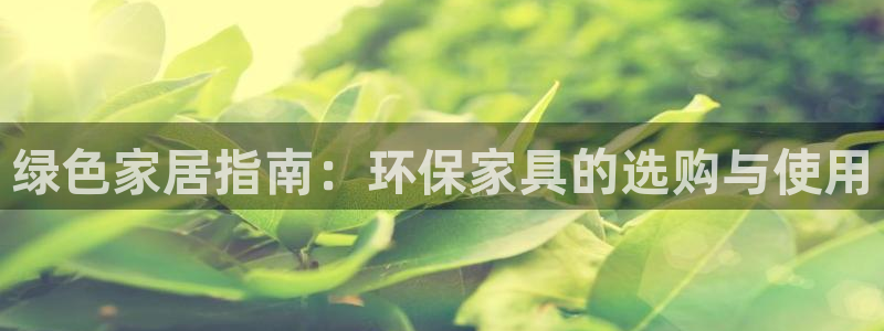 杏耀代理主管qq