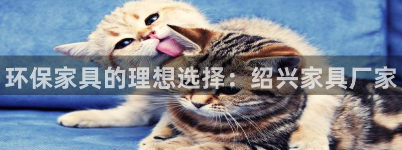 杏耀官网网站