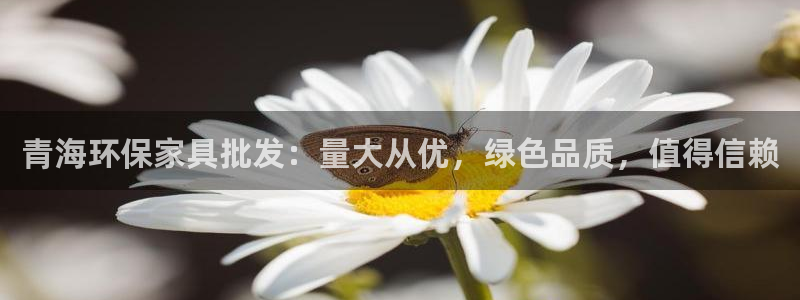 杏耀官方