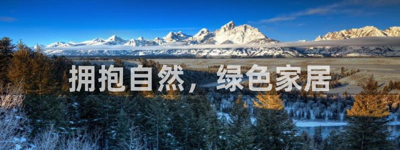杏耀平台代理怎么赚钱快