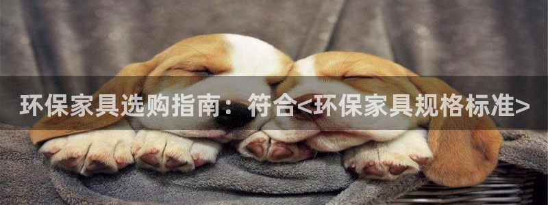 杏耀平台服务中心