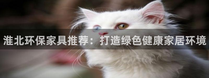 杏耀平台的专用通道