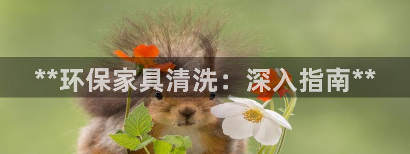 杏耀总代理