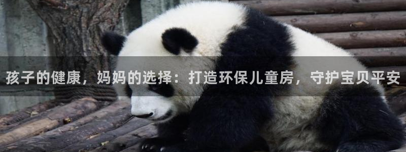 杏耀代理主管qq