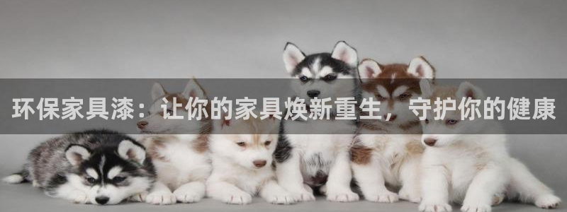 杏耀官网主管