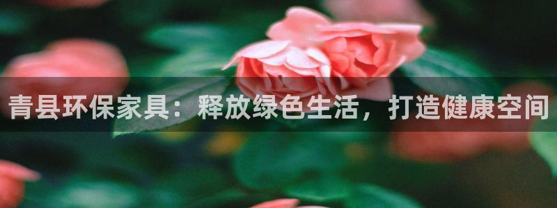 杏耀代理主管qq