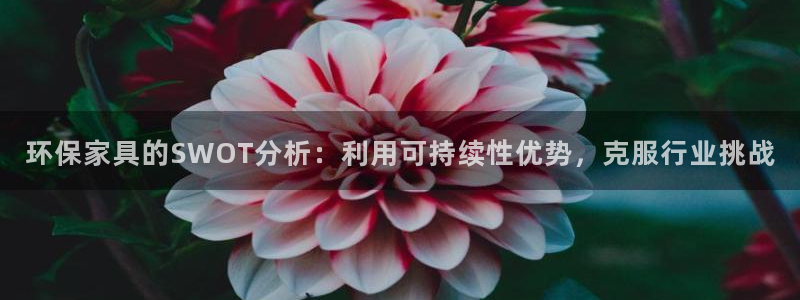 杏耀测速网址电脑版