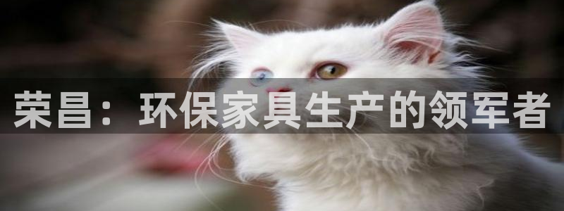 杏耀平台地址