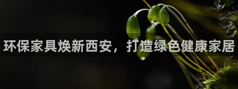 杏耀平台网站是什么