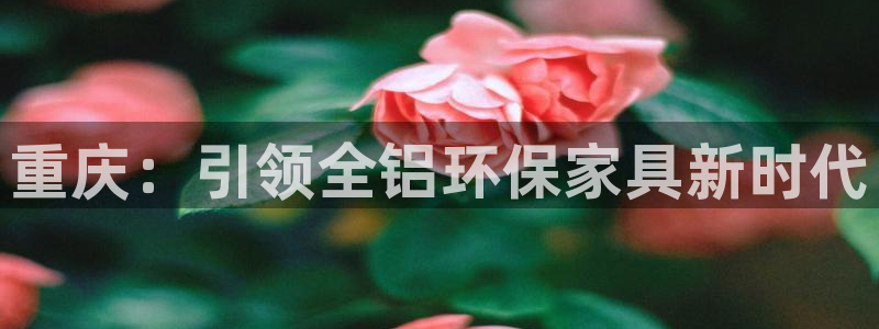 杏耀平台主管