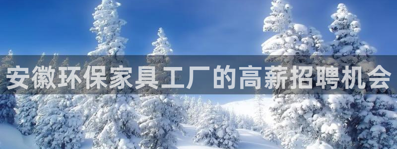杏耀代理日工资多少
