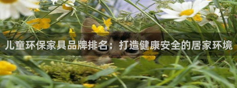 杏耀平台登陆测速