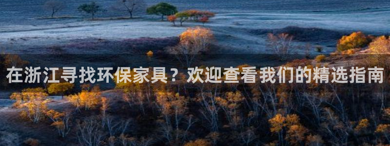 杏耀软件