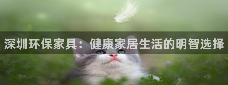 杏耀代理主管qq