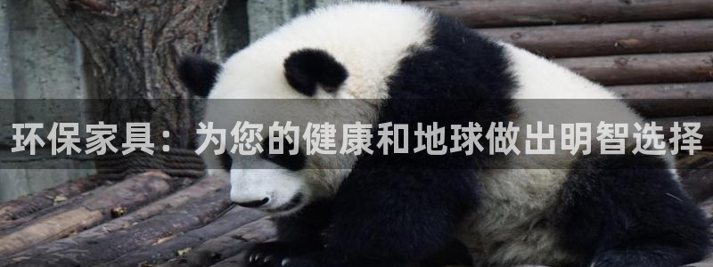 杏耀平台代理：环保家具：为您的健康和地球做出明智选择