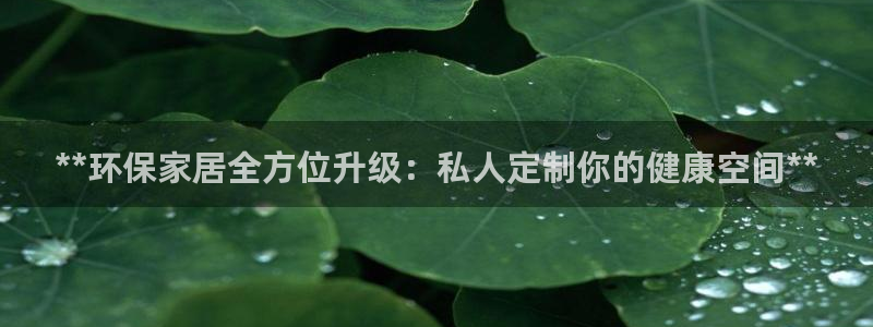杏耀平台服务中心：**环保家居全方位升级：私人定制你的健康空