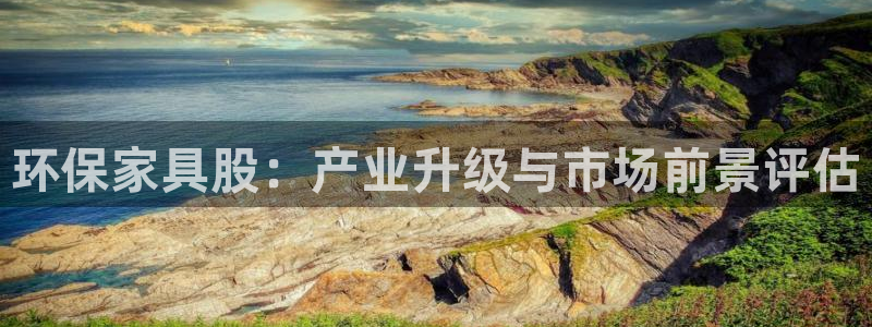 杏耀平台登录首页：环保家具股：产业升级与市场前景评估