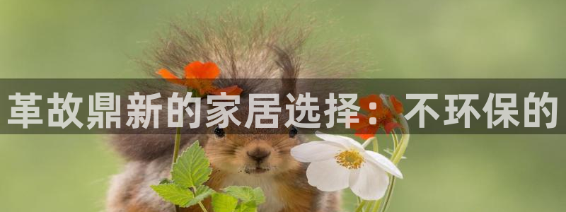 杏耀平台专用通道
