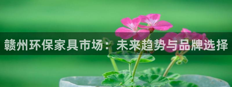 杏耀平台怎样：赣州环保家具市场：未来趋势与品牌选择
