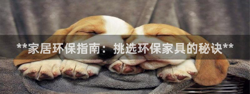 杏耀测速注册：**家居环保指南：挑选环保家具的秘诀**