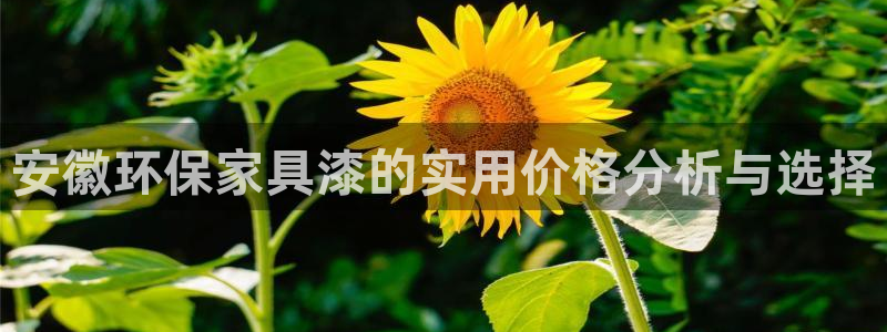 杏耀平台登陆官网