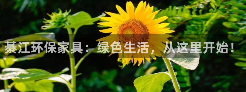 杏耀平台网页版