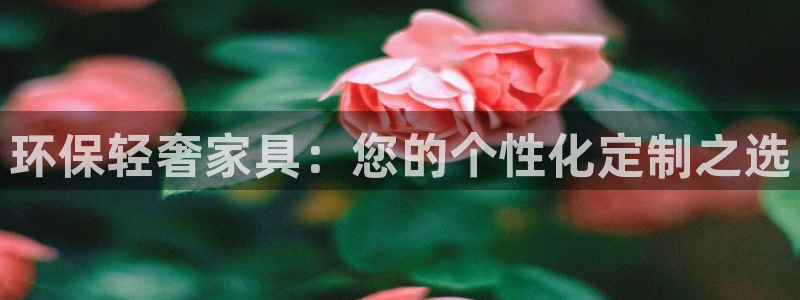 杏耀代理日工资多少