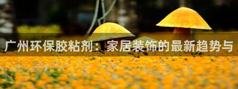 杏耀是什么平台