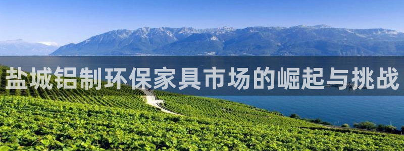 杏耀官方注册中心：盐城铝制环保家具市场的崛起与挑战