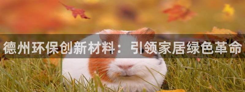 杏耀手机登录线路测速：德州环保创新材料：引领家居绿色革命