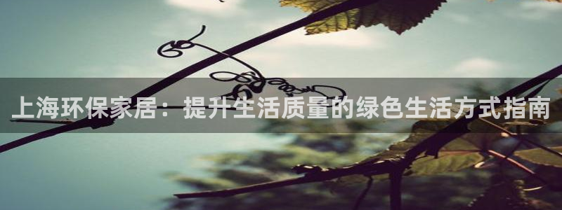杏耀平台怎么样：上海环保家居：提升生活质量的绿色生活方式指南