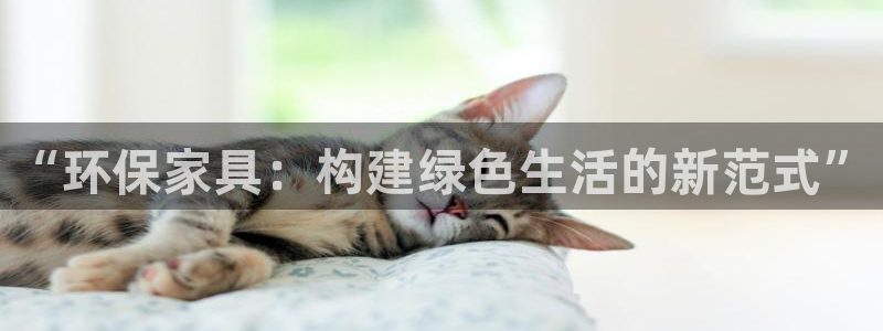 杏耀平台待遇：“环保家具：构建绿色生活的新范式”