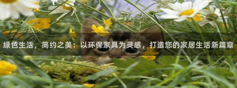 杏耀平台代理怎么赚钱快