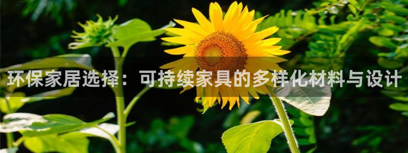 杏耀测速娱乐