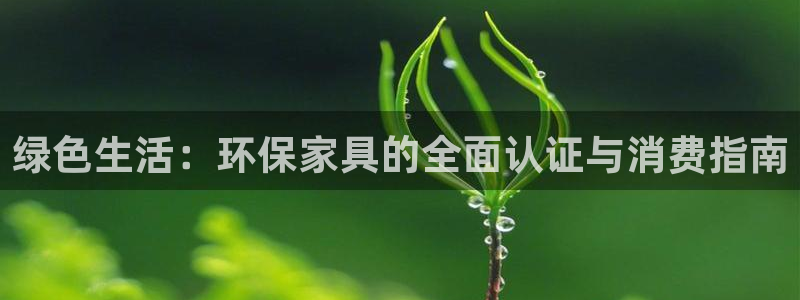 杏耀线路测速登录中心：绿色生活：环保家具的全面认证与消费指南