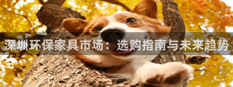 杏耀登入官网：深圳环保家具市场：选购指南与未来趋势