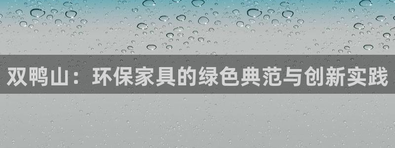 杏耀平台手机：双鸭山：环保家具的绿色典范与创新实践
