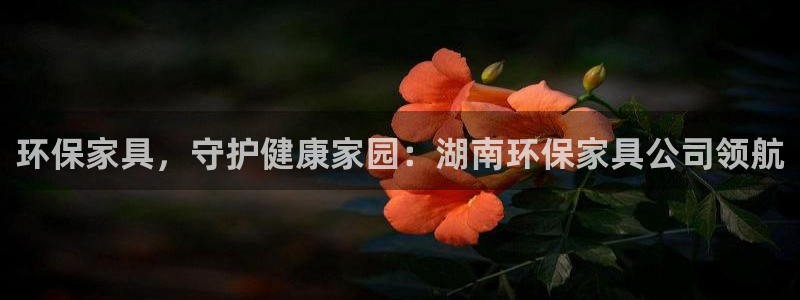 杏耀平台线路测速