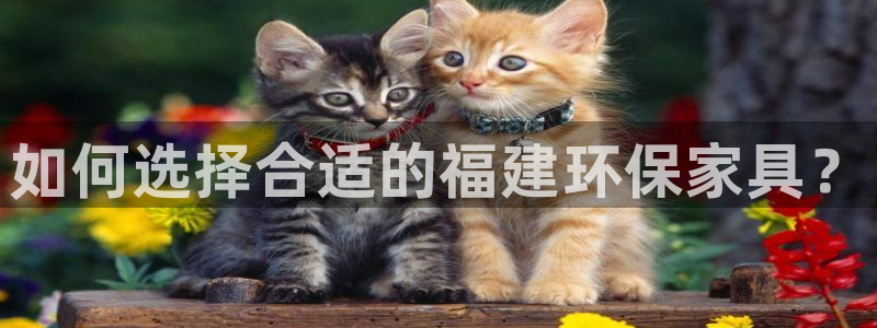 杏耀平台官方网站：如何选择合适的福建环保家具？