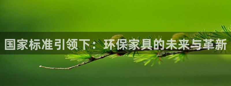 杏耀代理登录中心：国家标准引领下：环保家具的未来与革新